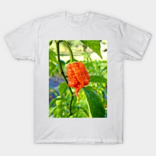 Carolina Reaper T-Shirt